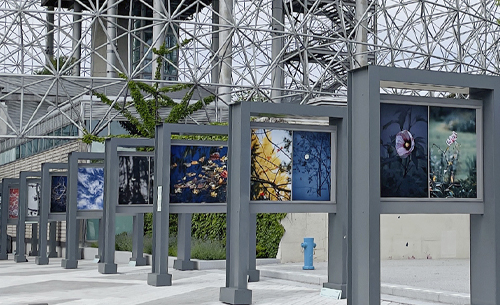 Sometimes We Look, Sometimes We see, 2022-2023